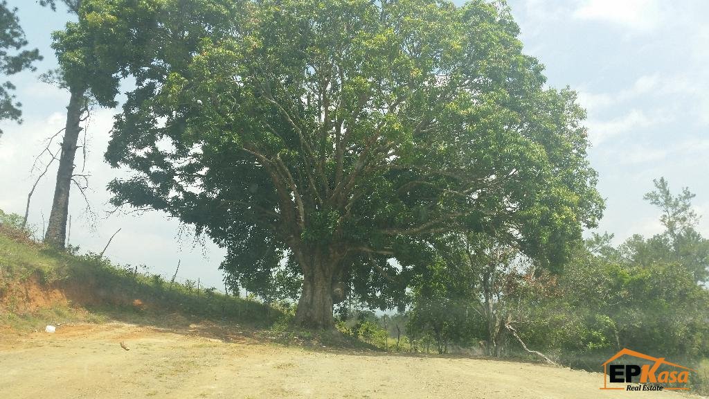 Solar de venta en Jarabacoa