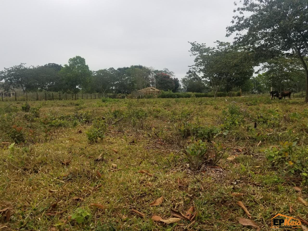 Terreno de Venta en jarabacoa zona tranquila