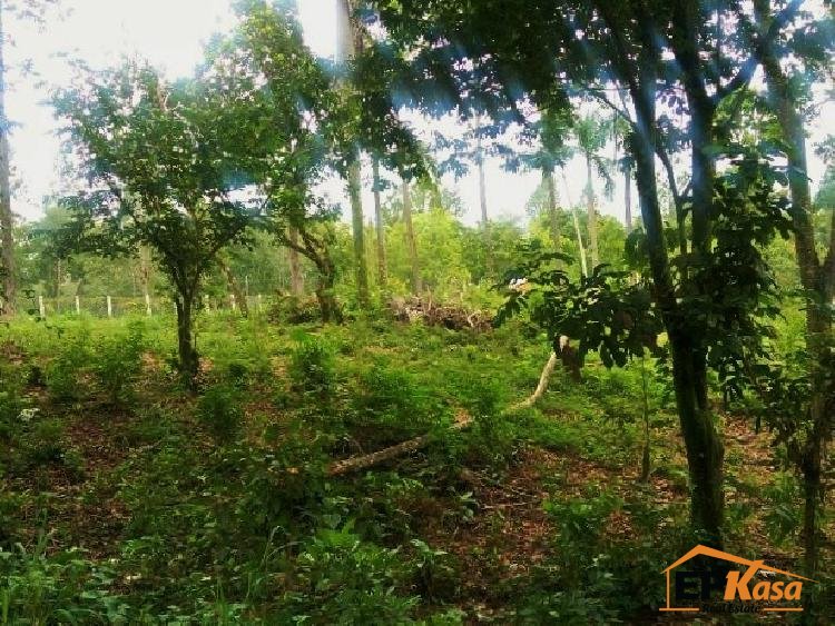 Terreno comercial de Venta en El Salto, Jarabacoa