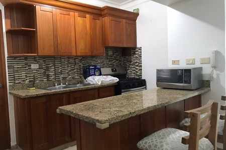 Apartamento amueblado centrico Santiago